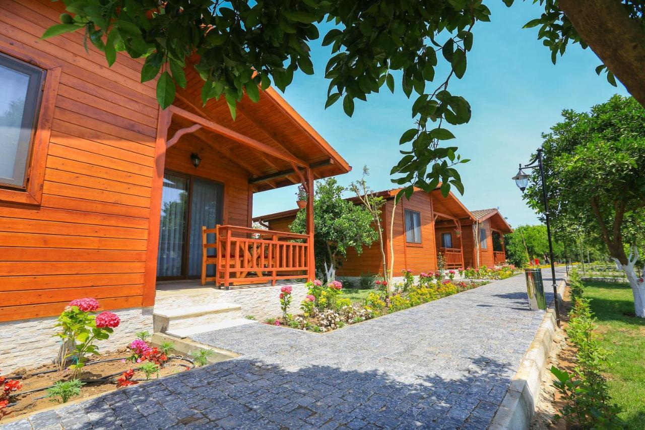 Merry Bungalow & Tent Çıralı Exteriér fotografie